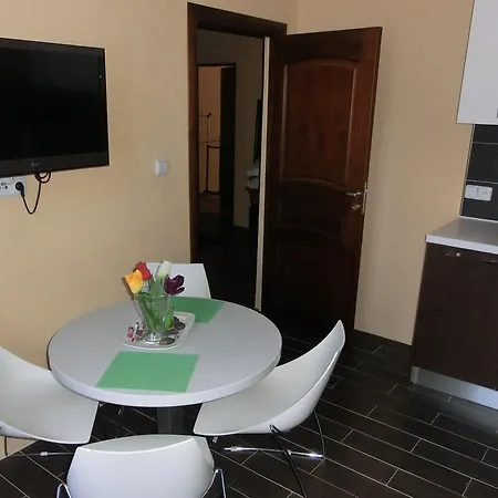 Andrey Apartment Karlovy Vary